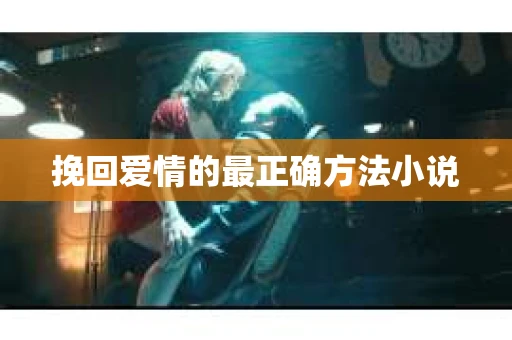 挽回爱情的最正确方法小说
