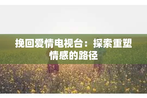 挽回爱情电视台：探索重塑情感的路径