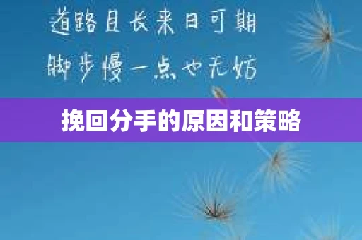 挽回分手的原因和策略