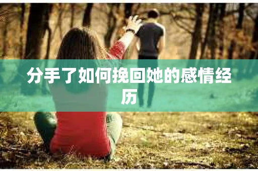 分手了如何挽回她的感情经历