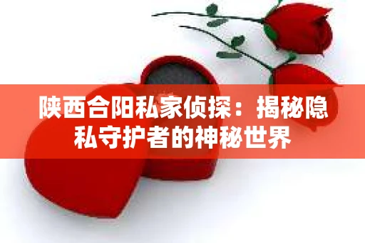 陕西合阳私家侦探：揭秘隐私守护者的神秘世界