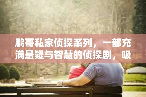 鹏哥私家侦探系列，一部充满悬疑与智慧的侦探剧，吸引了无数观众的眼球。今天，就让我带你走进这个充满神秘色彩的侦探世界，一起在线观看鹏哥私家侦探系列，感受那扣人心弦的故事情节。