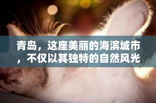 青岛，这座美丽的海滨城市，不仅以其独特的自然风光著称，更以其发达的经济和便捷的交通吸引了众多企业和个人。然而，随着商业活动的日益频繁，债务问题也日益凸显。这时，青岛专业催收公司的出现，无疑为解决债务问题提供了一种高效、合法的途径。