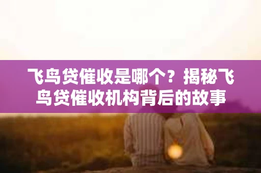 飞鸟贷催收是哪个？揭秘飞鸟贷催收机构背后的故事