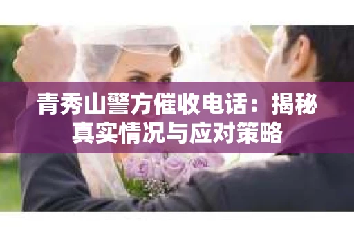 青秀山警方催收电话：揭秘真实情况与应对策略