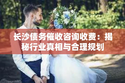 长沙债务催收咨询收费：揭秘行业真相与合理规划