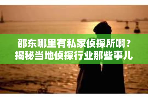 邵东哪里有私家侦探所啊？揭秘当地侦探行业那些事儿