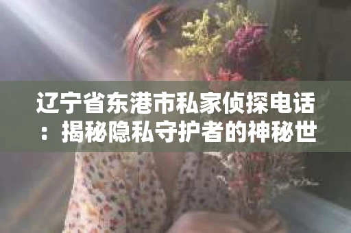 辽宁省东港市私家侦探电话：揭秘隐私守护者的神秘世界