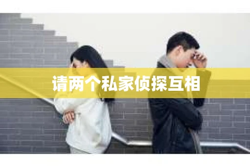 请两个私家侦探互相