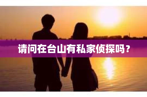 请问在台山有私家侦探吗？