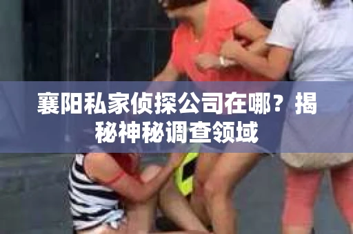 襄阳私家侦探公司在哪？揭秘神秘调查领域