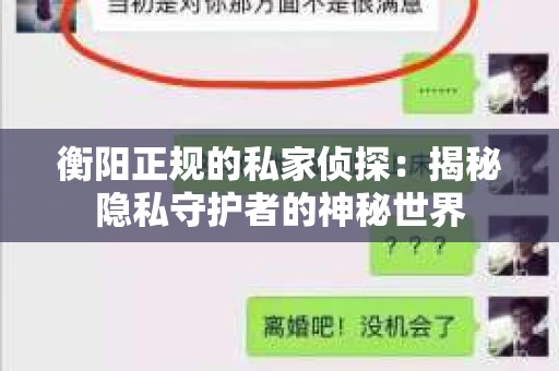 衡阳正规的私家侦探：揭秘隐私守护者的神秘世界