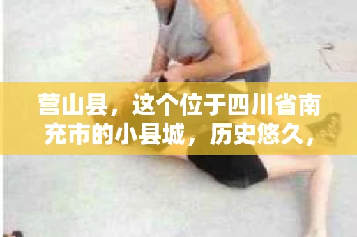 营山县，这个位于四川省南充市的小县城，历史悠久，风景秀丽。但在这个宁静的小县城里，你是否会好奇，有没有私家侦探的存在呢？今天，我就来和大家聊聊这个话题。