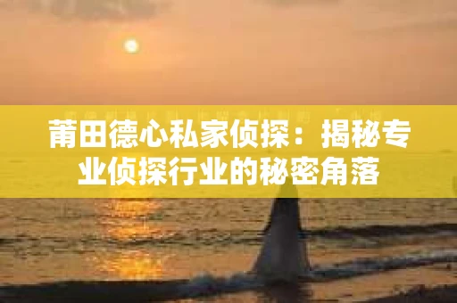 莆田德心私家侦探：揭秘专业侦探行业的秘密角落