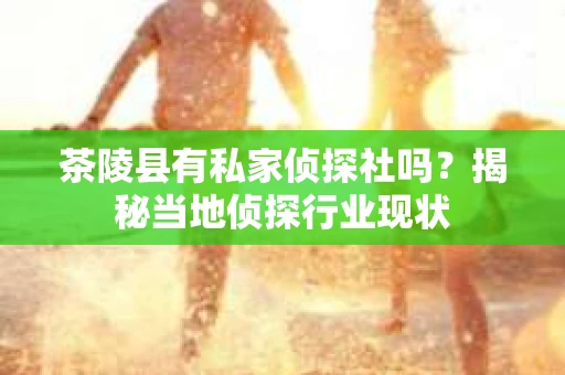 茶陵县有私家侦探社吗？揭秘当地侦探行业现状
