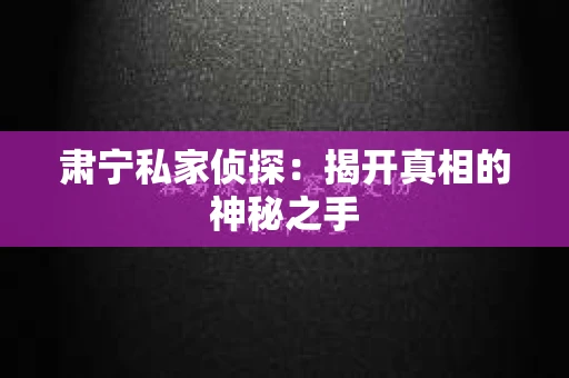 肃宁私家侦探：揭开真相的神秘之手