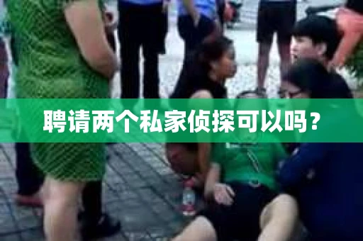 聘请两个私家侦探可以吗？