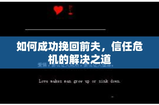 如何成功挽回前夫，信任危机的解决之道