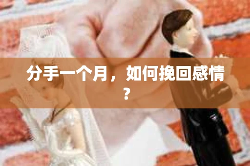 分手一个月，如何挽回感情？
