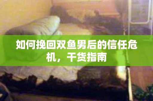 如何挽回双鱼男后的信任危机，干货指南