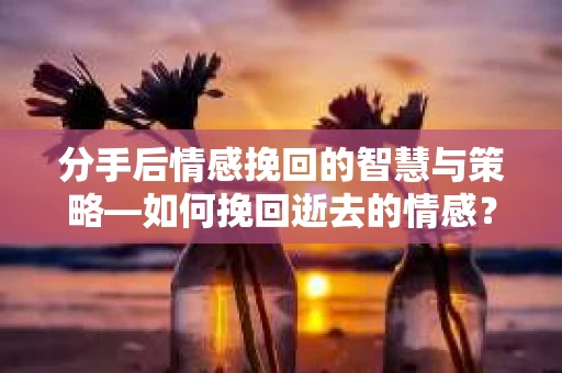 分手后情感挽回的智慧与策略—如何挽回逝去的情感？